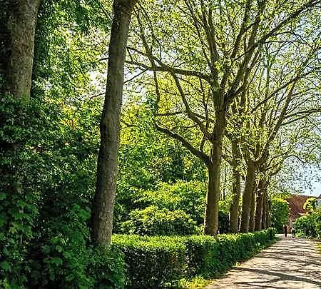 Hotel Natuurhuisjes Lust En Last *