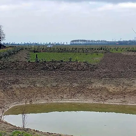 Natuurhuisjes Lust En Last